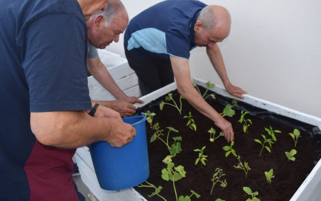 🌱 Nuestro huerto urbano: un espacio para cultivar bienestar, alimentación saludable y participación