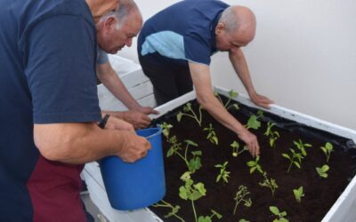 🌱 Nuestro huerto urbano: un espacio para cultivar bienestar, alimentación saludable y participación